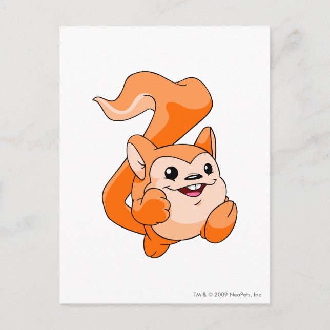 Cartão Postal Meerca Orange (Frente)