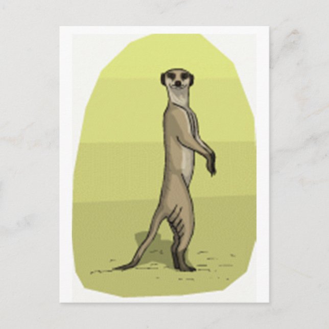 CARTÃO POSTAL MEERKAT (Frente)