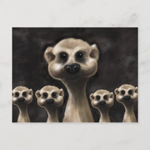 Cartão postal Meerkat