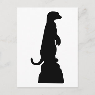 Cartão Postal Meerkat