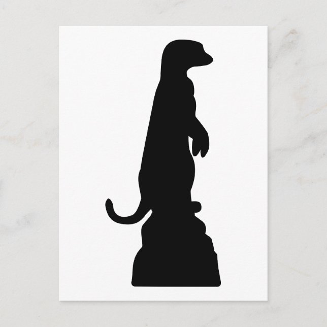 Cartão Postal Meerkat (Frente)