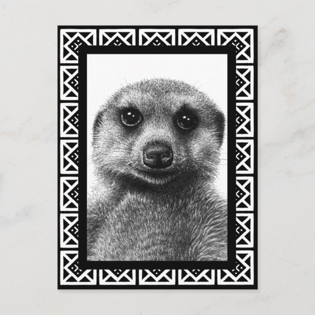 Cartão postal Meerkat (Frente)