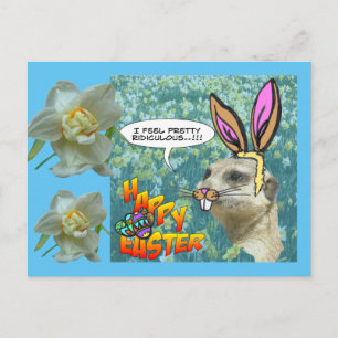 Cartão postal Meerkat Daffodils felz pascoa