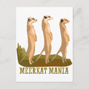Cartão Postal Meerkat Mania