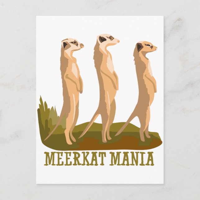 Cartão Postal Meerkat Mania (Frente)
