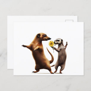 Cartão Postal Meerkats dançantes