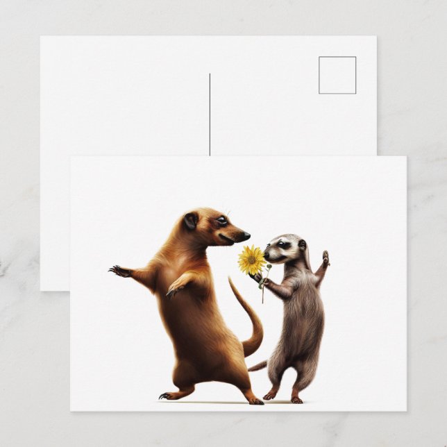 Cartão Postal Meerkats dançantes (Frente/Verso)