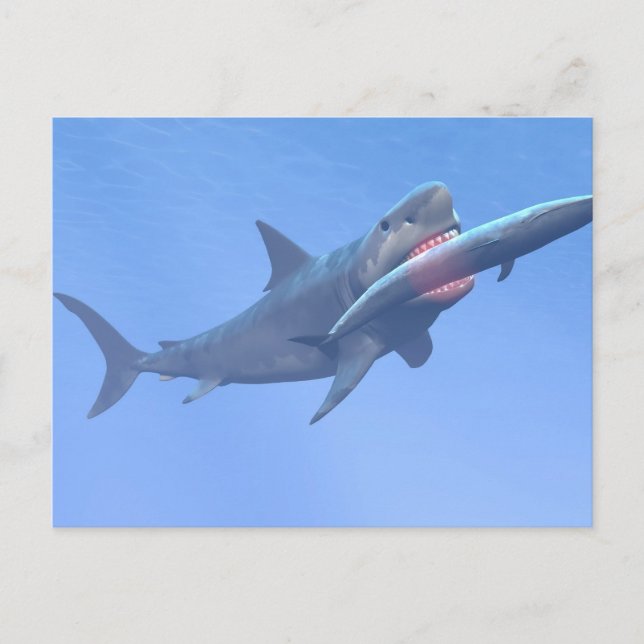 Cartão Postal Megalodon comendo uma baleia (Frente)