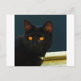 Cartão Postal Meia-noite