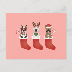 Cartão Postal Meias de Natal de Bulldogs Franceses
