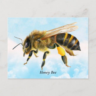 Cartão Postal Mel Bee Watercolor Painting