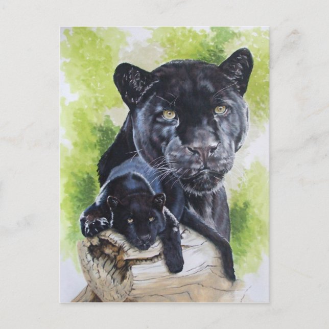 Cartão Postal Melancholy (Frente)