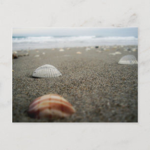 Cartão Postal Melbourne Beach, Flórida