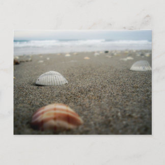 Cartão Postal Melbourne Beach, Florida