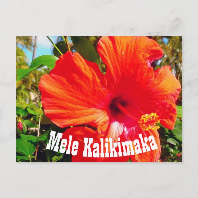 Cartão postal Mele Kalikimaka (Frente)