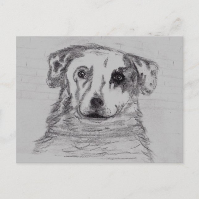 Cartão Postal Melhor amigo (Frente)