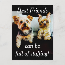 Cartão Postal Melhor Cheio de Estúpias Yorkie Personalize