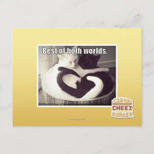 Cartão Postal Melhor de ambos os mundos