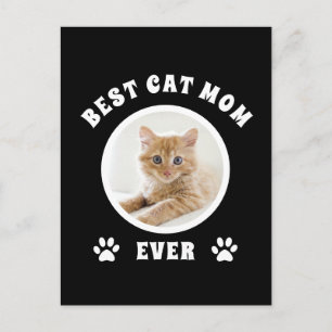 Cartão Postal Melhor Foto Personalizada Da Cat Mãe De Todos Os D