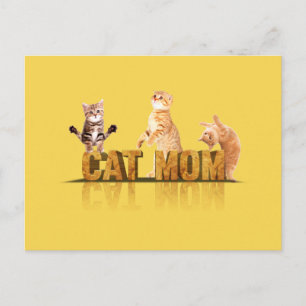 Cartão Postal Melhor mãe de gato de todos os tempos melhor mãe