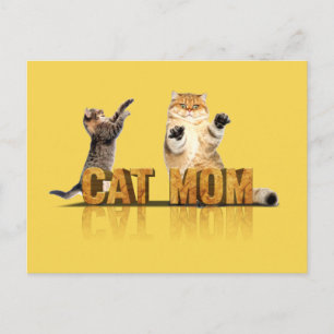 Cartão Postal Melhor mãe de gatos   presente para gatos-mãe