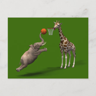 Cartão Postal Melhor Marcador de Basquete