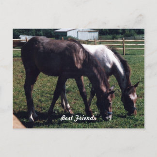 Cartão Postal Melhores Amigos