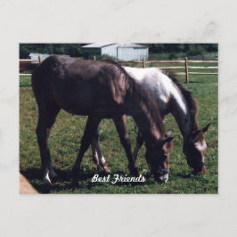 Cartão Postal Melhores Amigos