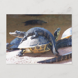 Cartão Postal Melhores amigos