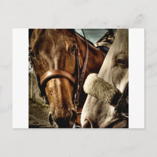 Cartão Postal Melhores Amigos