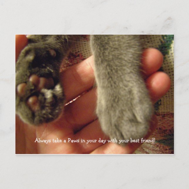 Cartão Postal Melhores amigos (Frente)