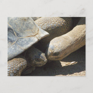 Cartão Postal Melhores Amigos para Sempre