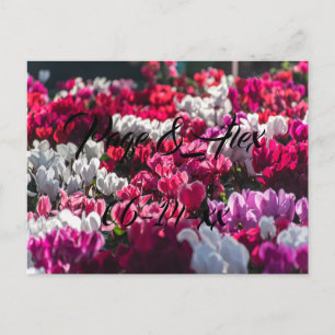 Cartão Postal Melhores desejos para recém-casados Destino de Cas