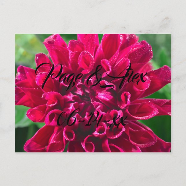 Cartão Postal Melhores desejos para recém-casados Destino de Cas (Frente)