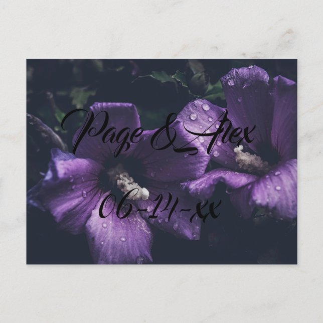 Cartão Postal Melhores desejos para recém-casados Destino de Cas (Frente)