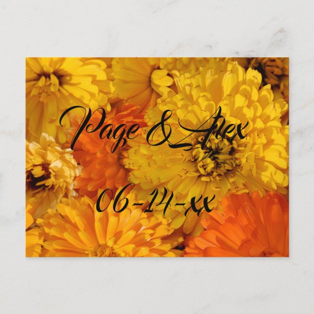 Cartão Postal Melhores desejos para recém-casados Destino de Cas (Frente)