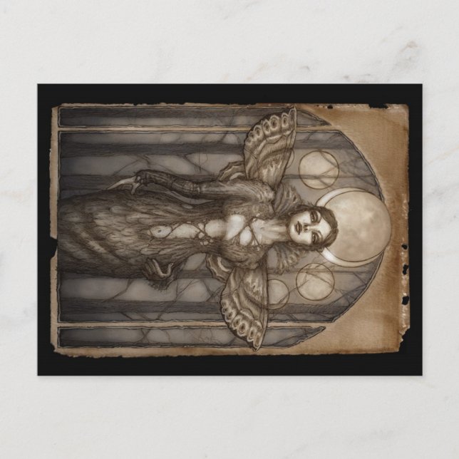 Cartão Postal Melia (Frente)