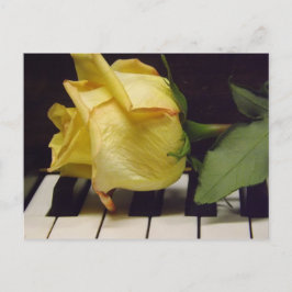 Cartão Postal Melody Of A Rosa Postal