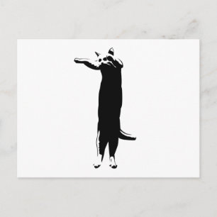 Cartão Postal Meme de gato longo