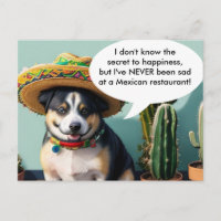 meme sombrero perro