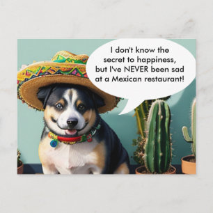Cartão Postal meme sombrero perro