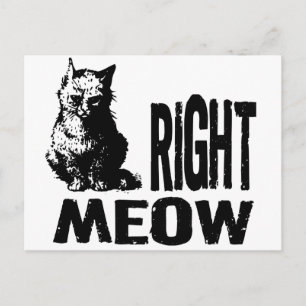 Cartão Postal MEMÓRIA CERTA! Gatinho Mau engraçado