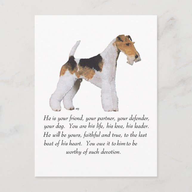 Cartão Postal Memória / Dedicação ao Wire Fox Terrier MACHO (Frente)