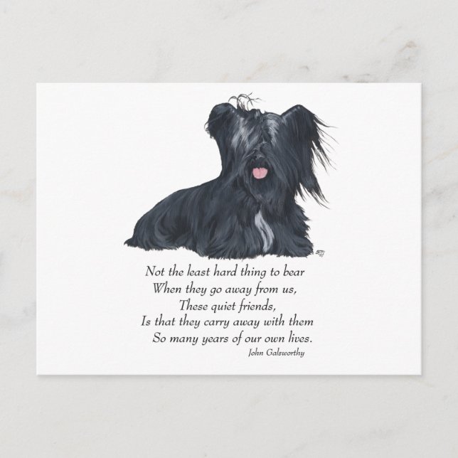 Cartão Postal Memória do Skye Terrier (Frente)