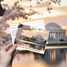 Cartão Postal Memorial Jefferson em Washington DC com árvore de