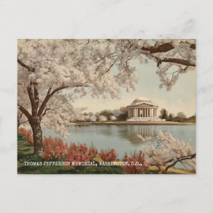 Cartão Postal Memorial Jefferson Washington DC Viagens Antigas