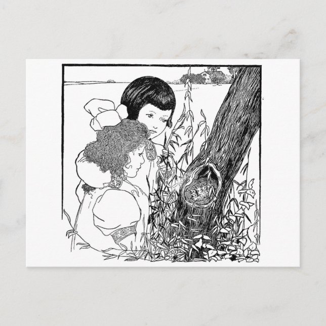 Cartão Postal Meninas Encontraram Um Ninho De Pássaros (Frente)