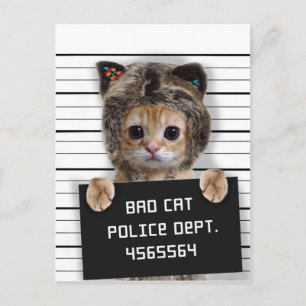 Cartão Postal Menino malvado gato-gato