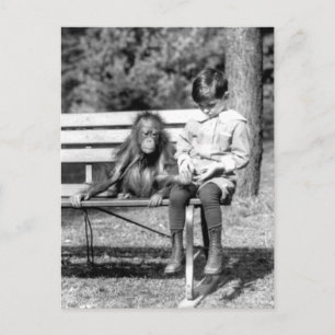 Cartão Postal Menino & Orangotango Vintage National Zoo Washingt