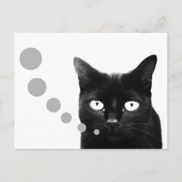 Cartão Postal Mensagem do Gato